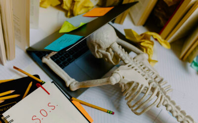 Posture and the Brain: A Chiropractic Perspective