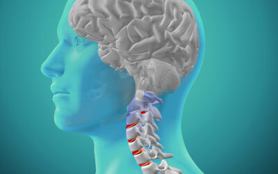 The Moving Spine: How Spinal Motion Feeds the Brain