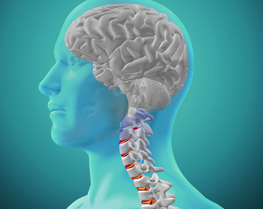 The Moving Spine: How Spinal Motion Feeds the Brain